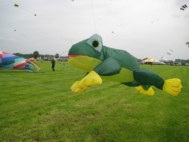 Drachenfest Bergeijk 2009 110.jpg